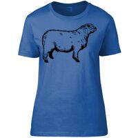 Women's Premium T-shirt Thumbnail