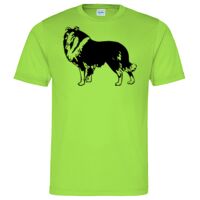 Cool T Sports Shirt Thumbnail