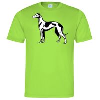 Cool T Sports Shirt Thumbnail