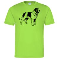 Cool T Sports Shirt Thumbnail