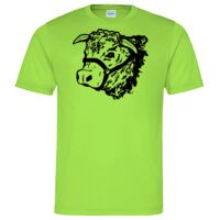 Cool T Sports Shirt Thumbnail