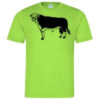 Cool T Sports Shirt Thumbnail