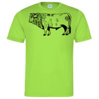 Cool T Sports Shirt Thumbnail