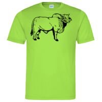 Cool T Sports Shirt Thumbnail