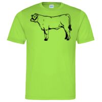 Cool T Sports Shirt Thumbnail