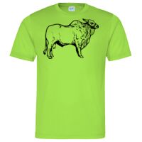 Cool T Sports Shirt Thumbnail