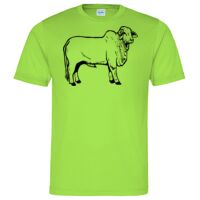 Cool T Sports Shirt Thumbnail