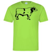 Cool T Sports Shirt Thumbnail