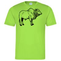 Cool T Sports Shirt Thumbnail