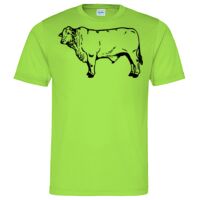 Cool T Sports Shirt Thumbnail