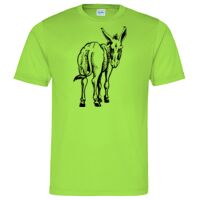 Cool T Sports Shirt Thumbnail