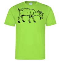 Cool T Sports Shirt Thumbnail