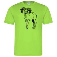 Cool T Sports Shirt Thumbnail