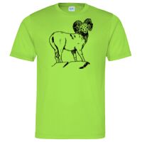 Cool T Sports Shirt Thumbnail