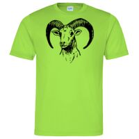 Cool T Sports Shirt Thumbnail