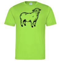 Cool T Sports Shirt Thumbnail