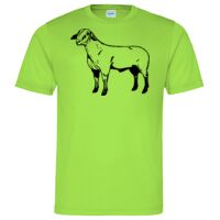 Cool T Sports Shirt Thumbnail