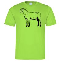 Cool T Sports Shirt Thumbnail