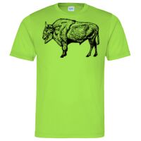 Cool T Sports Shirt Thumbnail