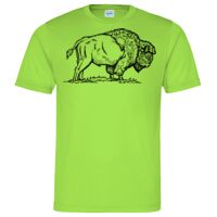 Cool T Sports Shirt Thumbnail