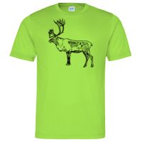 Cool T Sports Shirt Thumbnail