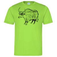 Cool T Sports Shirt Thumbnail