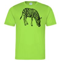 Cool T Sports Shirt Thumbnail