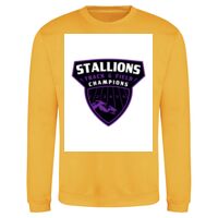 AWDis Sweatshirt Thumbnail