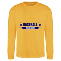 AWDis Sweatshirt Thumbnail