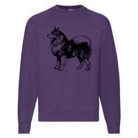 Classic 80/20 Raglan Sweatshirt Thumbnail