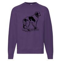 Classic 80/20 Raglan Sweatshirt Thumbnail