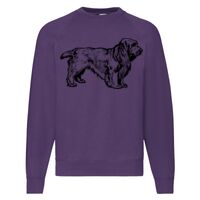 Classic 80/20 Raglan Sweatshirt Thumbnail