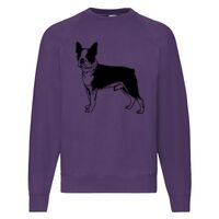 Classic 80/20 Raglan Sweatshirt Thumbnail