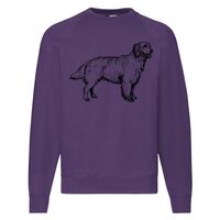 Classic 80/20 Raglan Sweatshirt Thumbnail