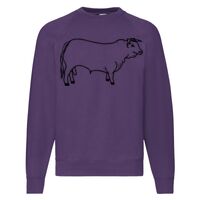 Classic 80/20 Raglan Sweatshirt Thumbnail