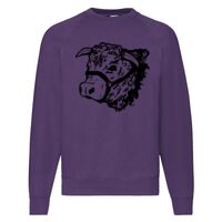 Classic 80/20 Raglan Sweatshirt Thumbnail