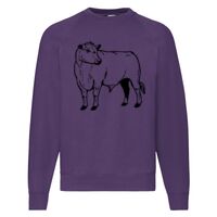Classic 80/20 Raglan Sweatshirt Thumbnail