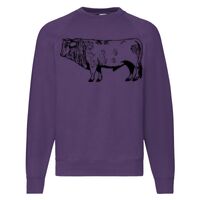 Classic 80/20 Raglan Sweatshirt Thumbnail