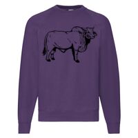 Classic 80/20 Raglan Sweatshirt Thumbnail