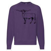 Classic 80/20 Raglan Sweatshirt Thumbnail