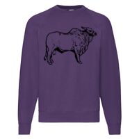 Classic 80/20 Raglan Sweatshirt Thumbnail