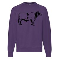 Classic 80/20 Raglan Sweatshirt Thumbnail