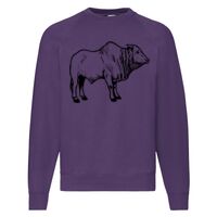 Classic 80/20 Raglan Sweatshirt Thumbnail