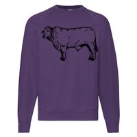 Classic 80/20 Raglan Sweatshirt Thumbnail