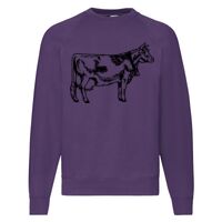 Classic 80/20 Raglan Sweatshirt Thumbnail