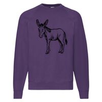 Classic 80/20 Raglan Sweatshirt Thumbnail