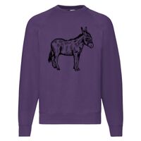 Classic 80/20 Raglan Sweatshirt Thumbnail