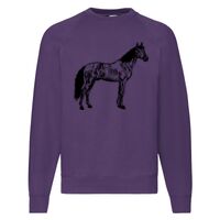 Classic 80/20 Raglan Sweatshirt Thumbnail