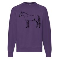 Classic 80/20 Raglan Sweatshirt Thumbnail