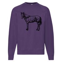 Classic 80/20 Raglan Sweatshirt Thumbnail